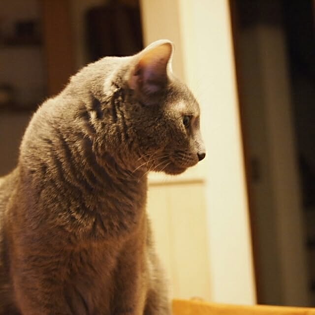 tomo1220さんの実例写真