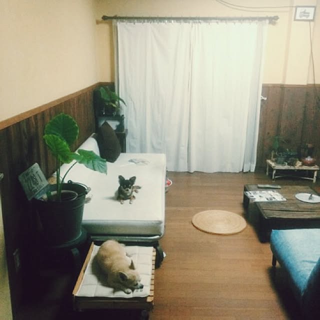 88さんの実例写真