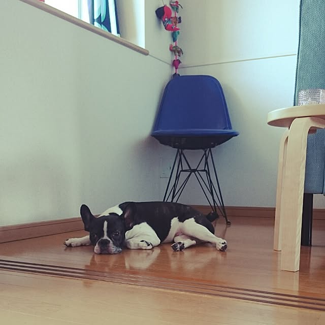 Makiさんの実例写真