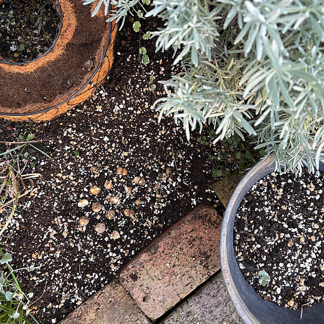 kyoko1124koさんの部屋