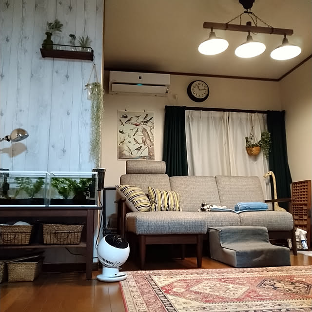 mizuさんの実例写真