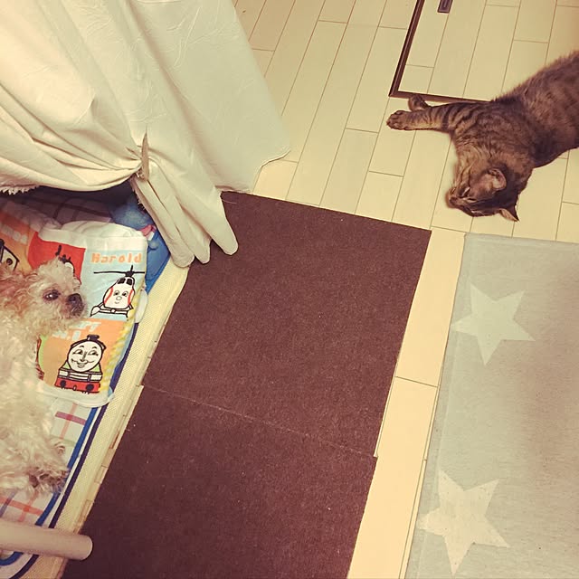 oniyomeさんの実例写真