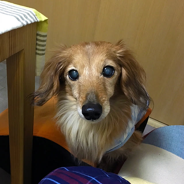 asako_geekさんの実例写真