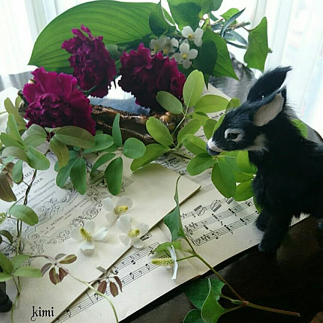 kimiさんの実例写真