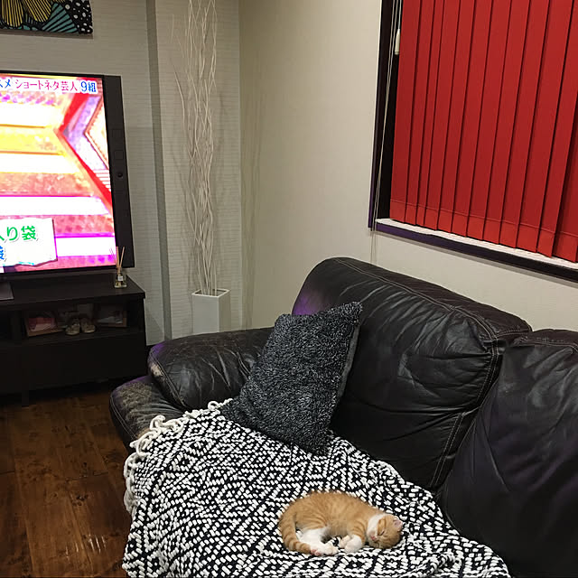 shizzzさんの実例写真
