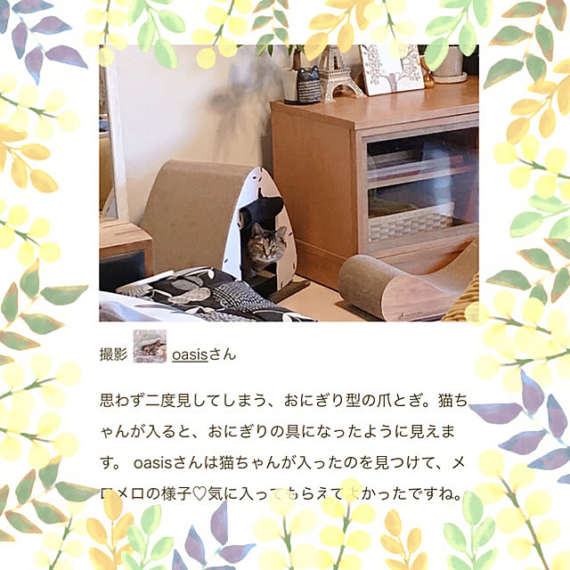 oasisさんの実例写真