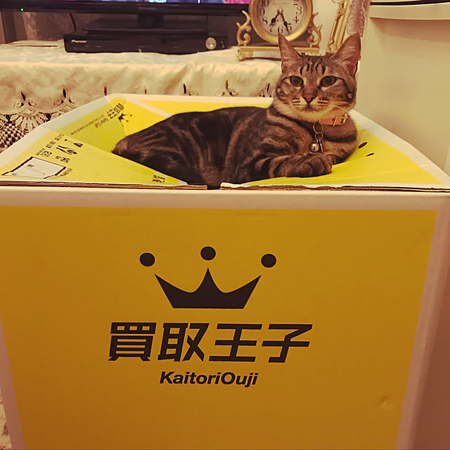 emikoさんの実例写真