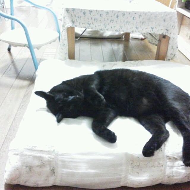 mikiさんの実例写真