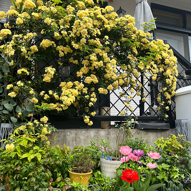 kurumeruさんの部屋