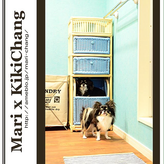 marichangさんの実例写真
