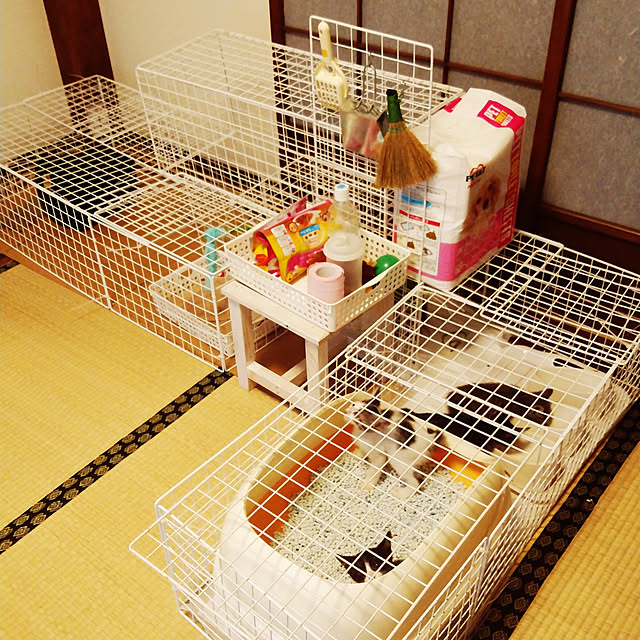 Mikaさんの実例写真