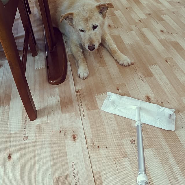 Tirorinさんの実例写真
