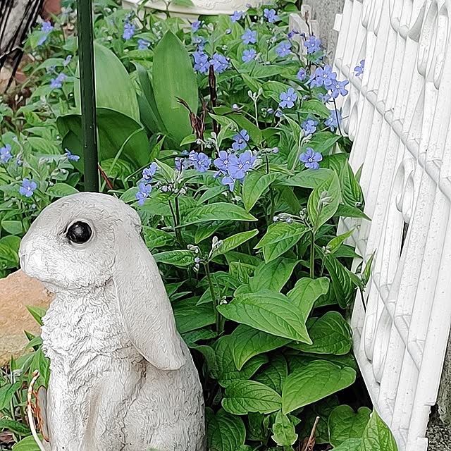 kiraさんの実例写真