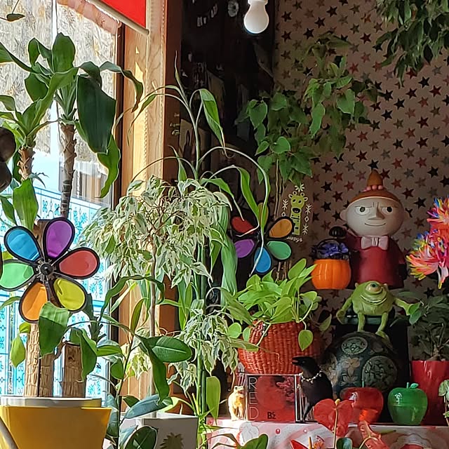kumutanさんの実例写真