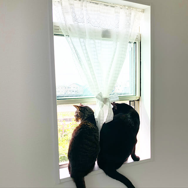 harukuumomiさんの実例写真