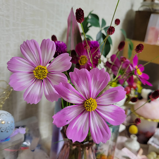 mymさんの実例写真