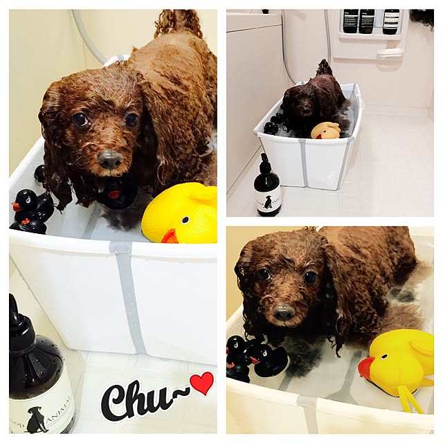 yoshiさんの実例写真