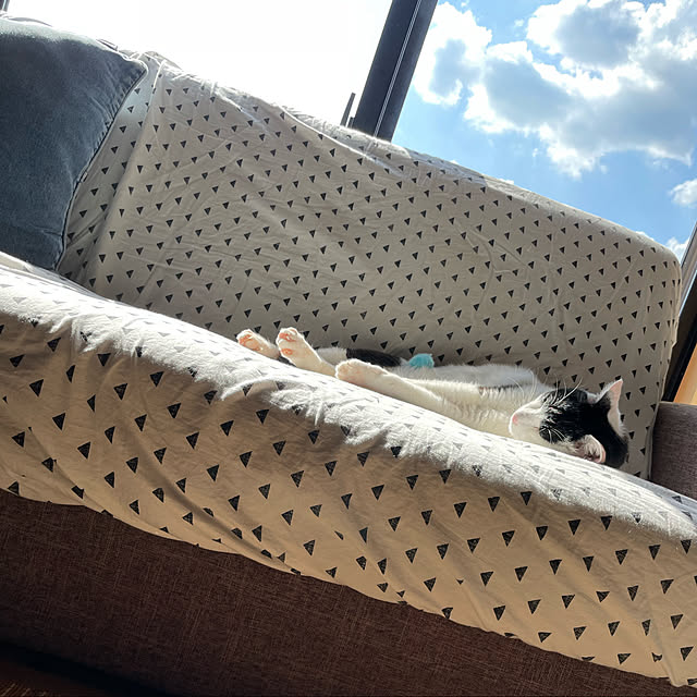 nekosamaさんの実例写真