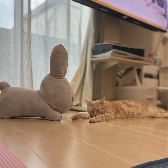 misamaruさんの実例写真
