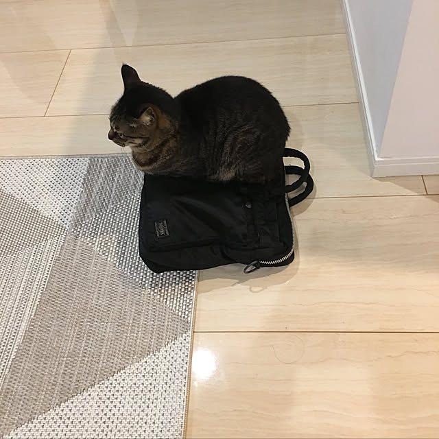 pochamamさんの実例写真
