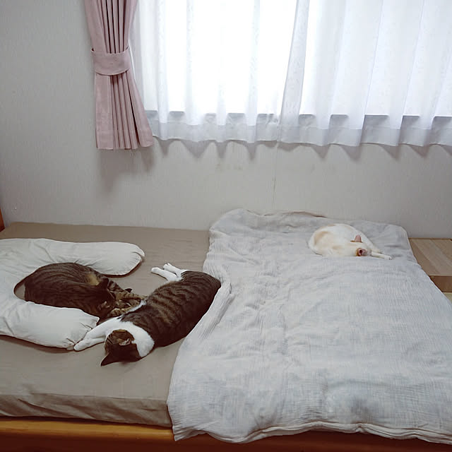 nachiさんの実例写真
