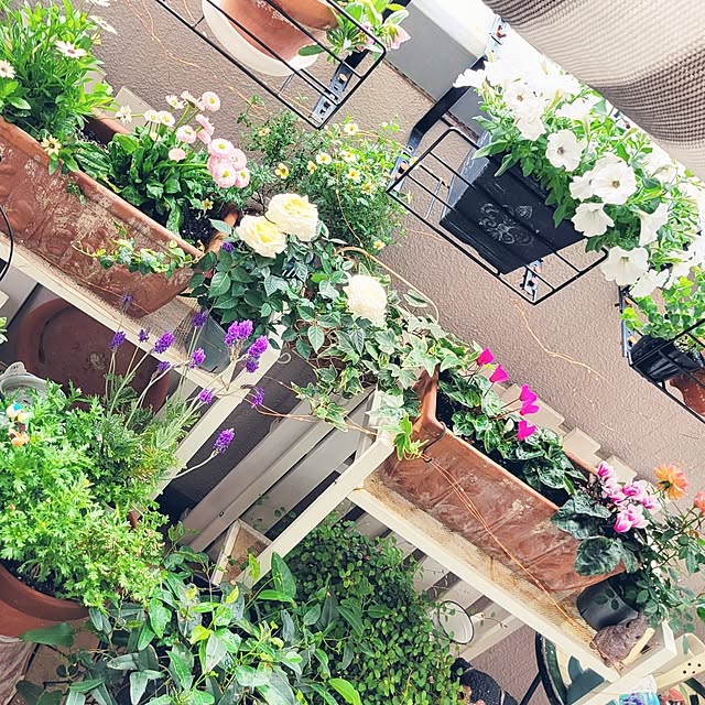 berryberryさんの部屋