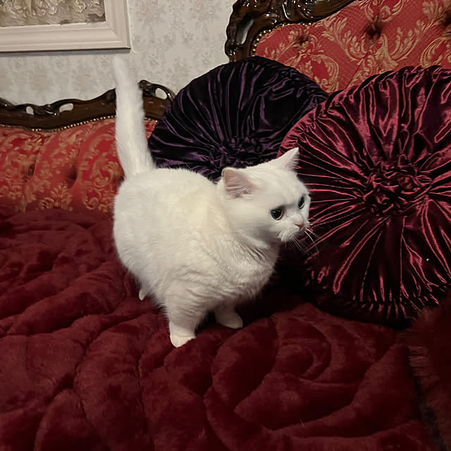 AYUKOさんの部屋