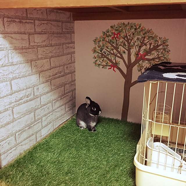 sei.hugさんの実例写真