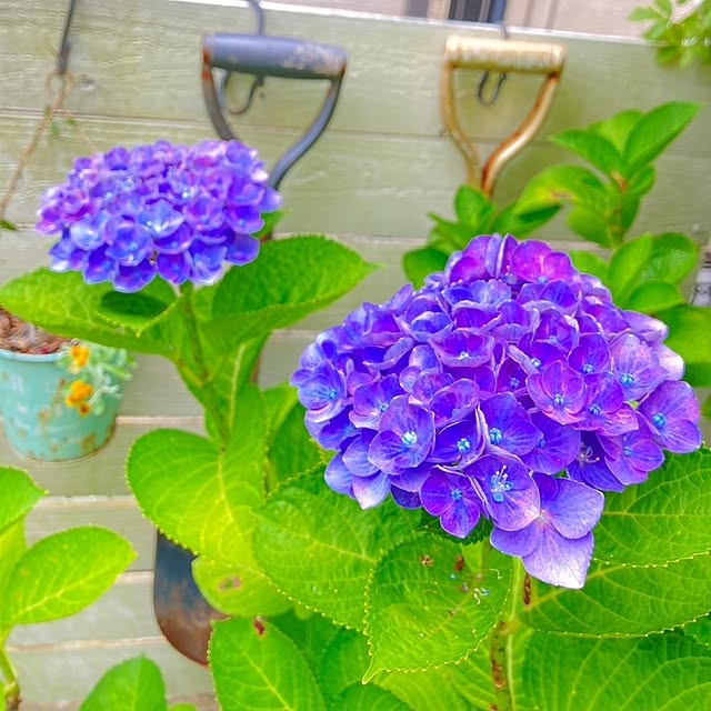 min_nimさんの実例写真