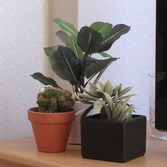 mayaさんの実例写真