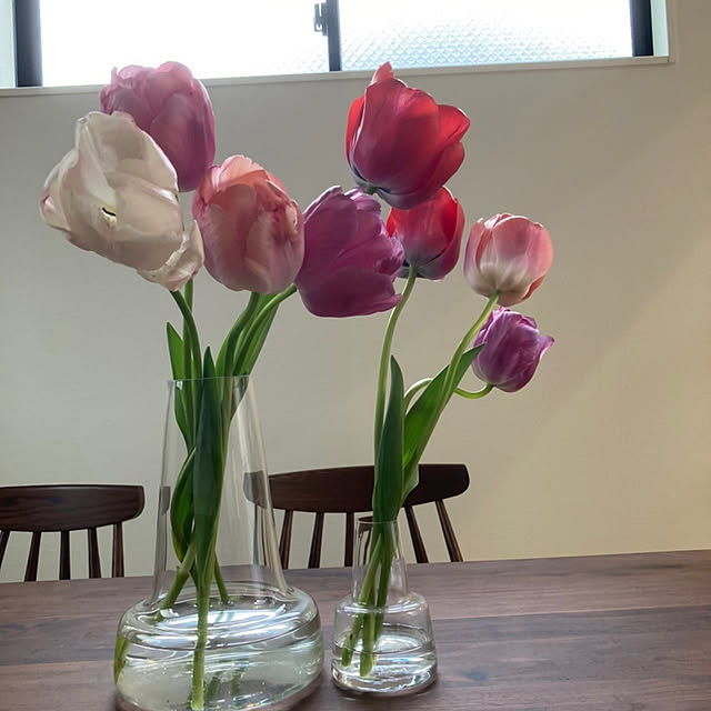 anemone551さんの部屋