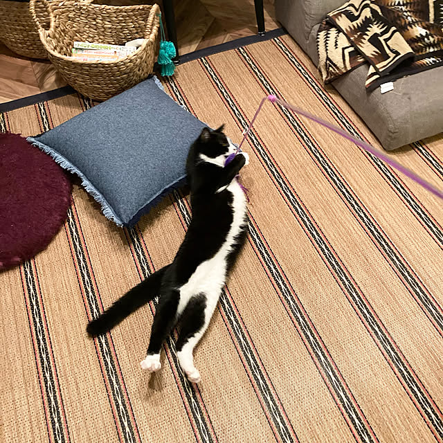 mako2yaさんの実例写真
