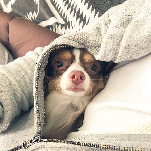 chocoさんの実例写真