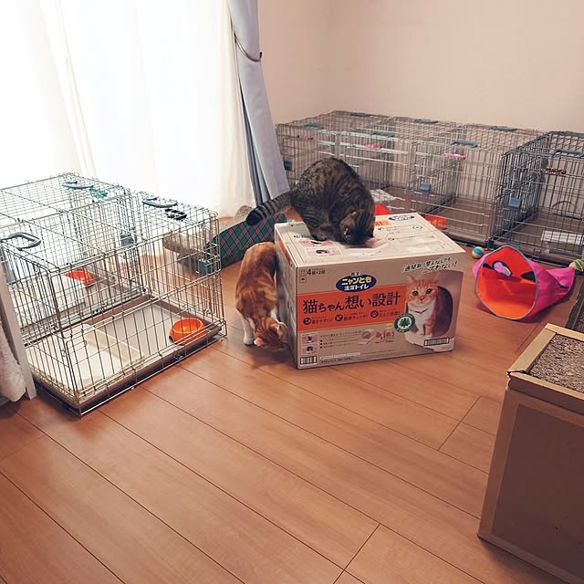 noguriさんの実例写真