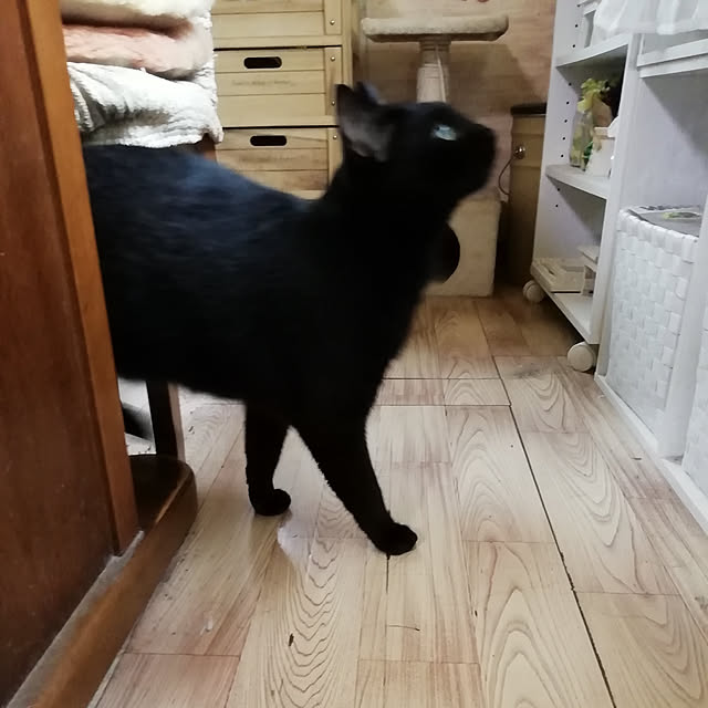 Tomopさんの実例写真