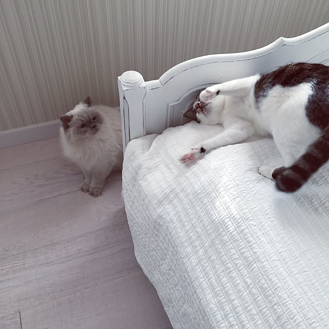 yuchiさんの実例写真