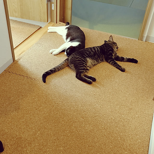 hihaさんの実例写真