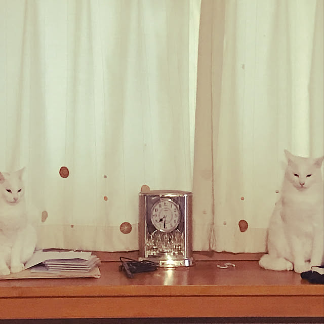 yuki48さんの実例写真