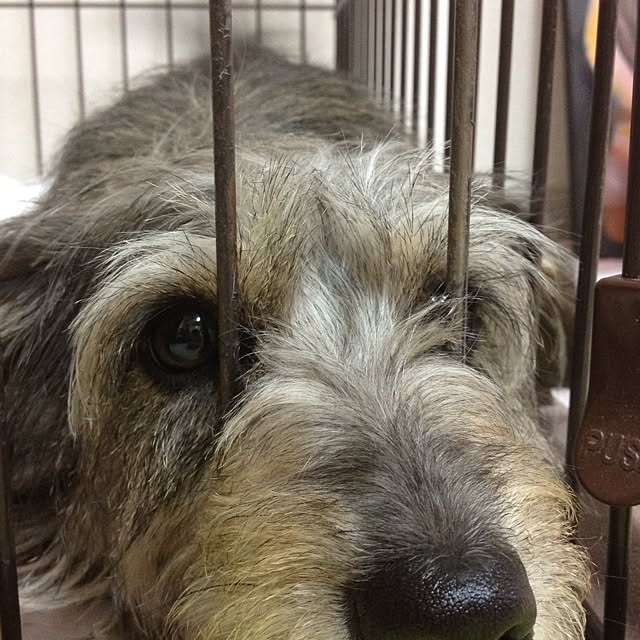 makiさんの実例写真