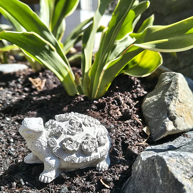 Rubiconさんの部屋