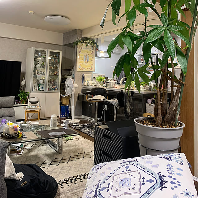 Aqettyさんの部屋