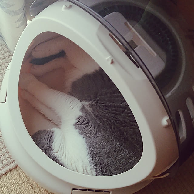 rhuさんの実例写真