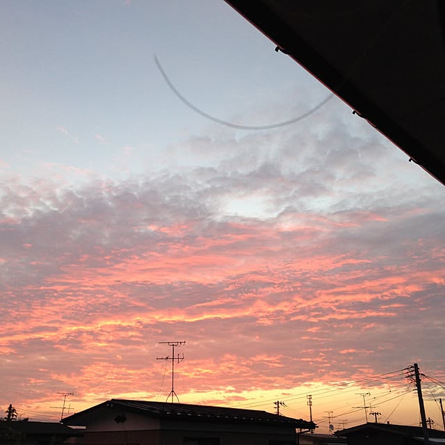 himawariさんの実例写真