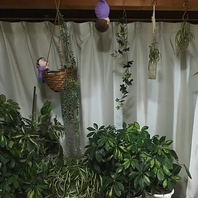 MOKOさんの実例写真