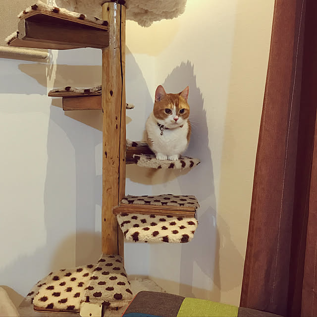 KotarouKunさんの実例写真