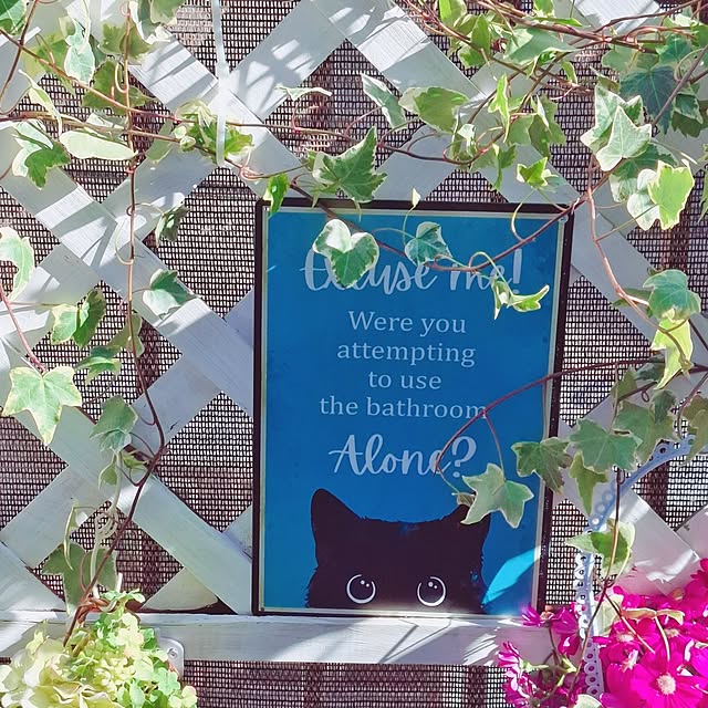 moko.7525himeさんの実例写真