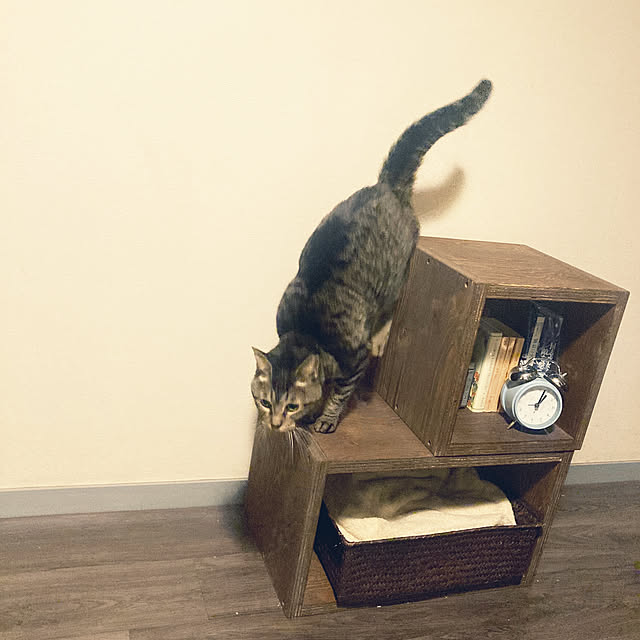 nakamiさんの実例写真