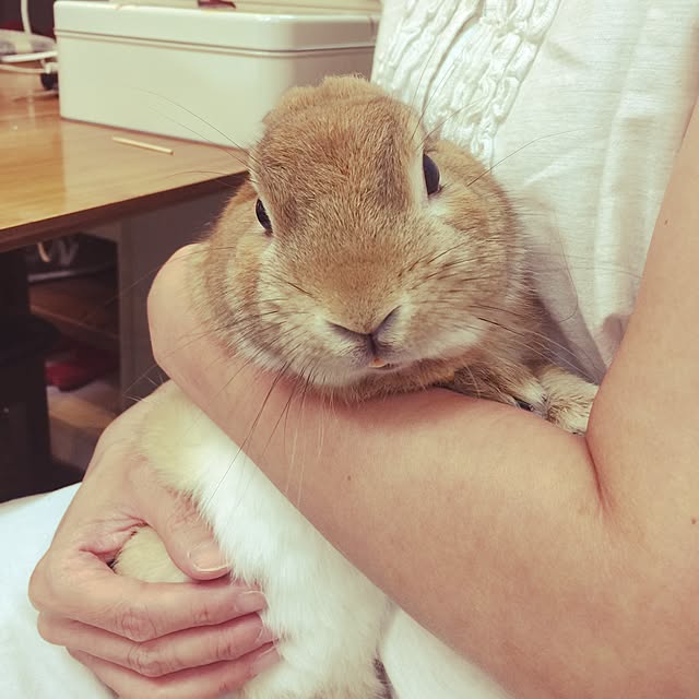 Yasuyukiさんの実例写真