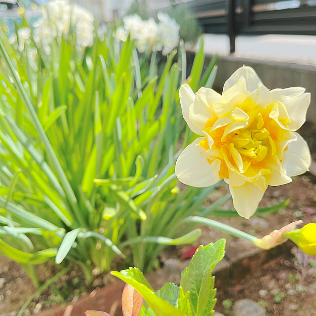 eriharuさんの部屋