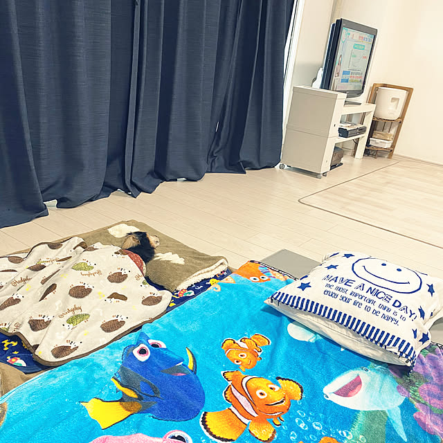 ohanaさんの実例写真